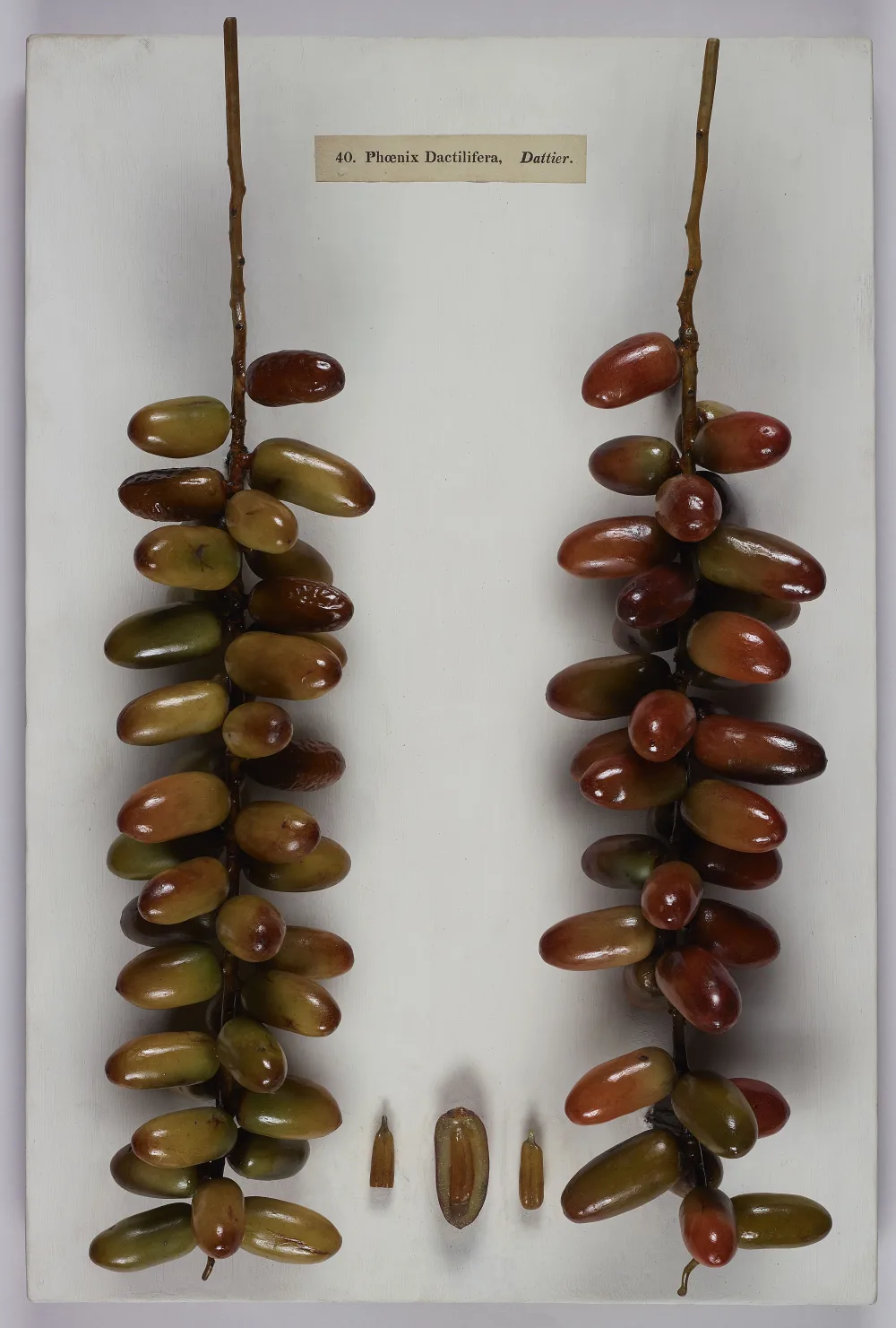 The Most Expensive Dates in the World 2026: Price-per-Kg Ranking and Why
