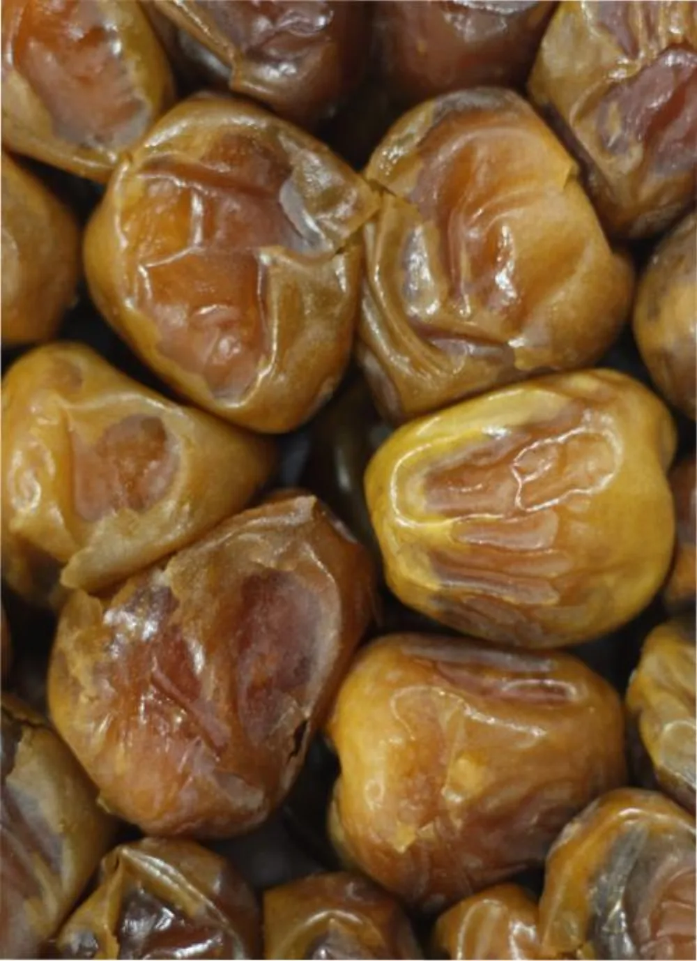 Kurma Sukari Al Qassim